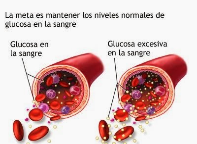 como reducir niveles de azucar en la sangre como reducir niveles de azucar en la sangre